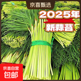 Fresh vegetables, fresh farm garlic sprouts 2jin jin is equal to 0.5kg (economical size)
