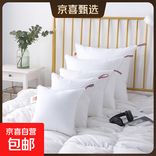Class a cotton pillow core inner bladder core back pillow core office living room sofa back cushion lumbar pillow back pillow core white pillow core 50*50cm/piece pure white brushed cloth