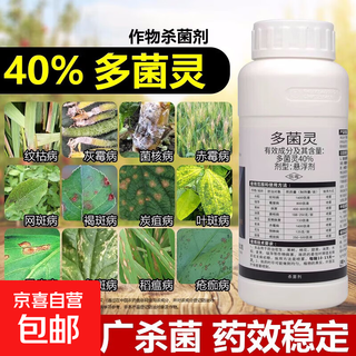 40% carbendazim aqueous fungicide for flowers, fruit trees, sheath blight, powdery mildew, scab, 400g*5 bottles