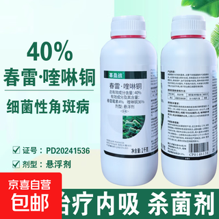 40% kasugamycin copper fungicide pesticide cucumber bacterial angular spot kasugamycin quinolinon 500g*10 bottles