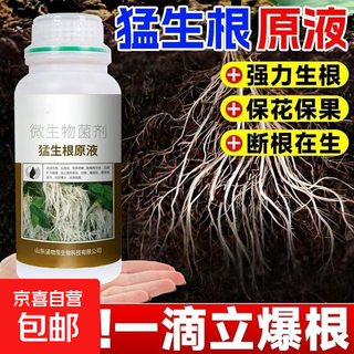 Mengshenggen stock solution, powerful rooting and seedling transplanting, fruit, vegetable, flower and green plant root-promoting microbial root-strengthening fertilizer. mengshenggen stock solution 500g*1 bottle