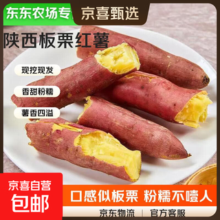 Direct supply from dongdong farm shaanxi fresh chestnut sweet potato sand sweet potato origin really cheap authentic chestnut sweet potato 5jin jin equals 0.5kg net weight