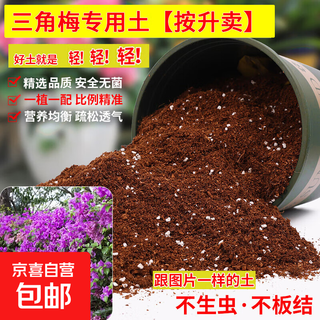 Special nutrient soil for bougainvillea, plant nutrient soil, granular soil, special nutrient soil for small seedlings and old piles, organic general soil, special soil for bougainvillea - 20 liters - organic fertilizer added