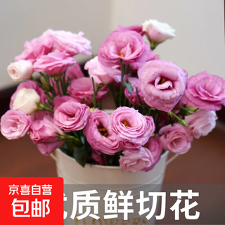Lisianthus-blumen, blumenarrangement, yunnan kunming, glattes haar, heimwasserkultur, echte mischfarbe, frisch geschnittener kleiner blumenstrauß, handgehaltene blumen, vielseitig, rosa, 200 g