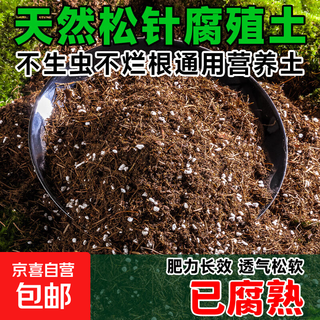 Suelo de humus de agujas de pino, hojas podridas naturales, clivia pura, suelo de nutrición de turba suculenta, suelo de uso general para el cultivo de flores, esponjoso y transpirable, suelo de humus de agujas de pino 20 jin jin equivale a 0,5 kg