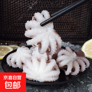 Live frozen octopus mini octopus frozen octopus straight from the seafood source 500g (net weight) contains 30% protective ice