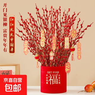 Silver willow real flowers, fresh branches and dried flower ornaments, indoor hydroponic green plants, new year's red blessing bucket to attract wealth and new year's eve flower potted plants, 12-caliber dafu velvet bucket + 65cm or so + 40 pieces