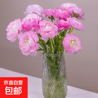 Peonies and buttercups, double petals, yunnan flowers, straight hair for home flower arrangement, buds shipped, 10 pink peonies
