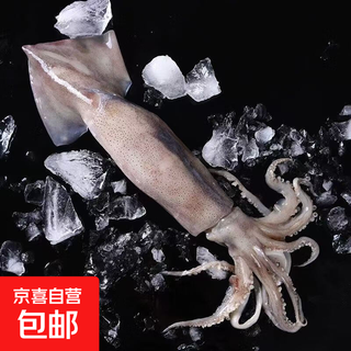 Fresh large squid, extra large wild squid, whole squid, wholesale frozen fresh large octopus, fresh octopus, sea-caught wild, whole piece shipped / package 2400g (net weight) 3-4 pieces, one package is cost-effective