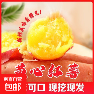 Freshly dug sandy sweet potato, fresh farm sweet potato, baked sweet potato, soft and waxy wholesale yellow heart, sandy sweet potato 4jin jin equal to 0.5kg, medium large fruit, box included
