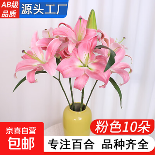 Ab grade high quality perfume lily flowers hydroponic flower arrangement family life water raised fresh cut roses originate in yunnan straight hair high quality ab grade pink perfume lily 10 flowers + preservative + large buds