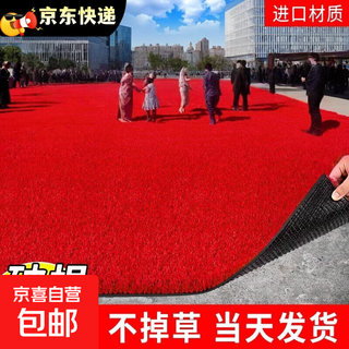 Red artificial lawn carpet artificial artificial turf commercial activity floor mat decoration outdoor plastic grass mat red lawn outdoor activities/wedding festivals/store entrance special 2 meters wide * 6 meters long