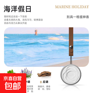 Air outlet aromatherapy car new car fragrance decoration rearview mirror pendant perfume car aromatherapy ornaments pendant style ocean holiday