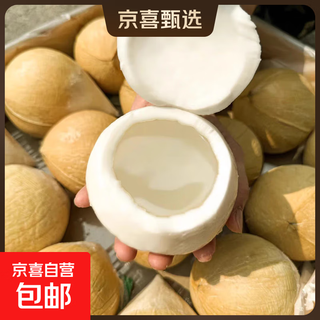 Imported from thailand, milk-flavored coconut king dannen saduo perfumed coconut chicken soup old coconut fresh fruit jd.com thai coconut king 9 pack high cost performance and free soft knife medium fruit 300g-400g