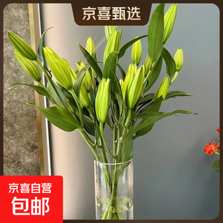 Perfume lily flower shop's same style chinese valentine's day gift flowers yunnan base straight hair mix and match fresh cut flowers 1 random special price lily 9 flowers (variety and color not specified)