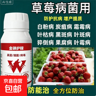 Complete treatment of strawberry diseases, special strawberry bactericidal medicine, red center column, strawberry white powder, root rot, botrytis cinerea, leaf spot, soft rot anthrax, gold iodine protection 20 ml (mixed with 30 jin of water, jin is equal to 0.5 kg)