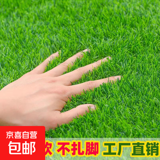 Simulated turf artificial turf carpet outdoor green floor mat kindergarten football field mat artificial fake turf 2 cm thickened spring grass 0.5 m * 0.5 m long