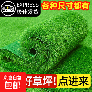 Simulated lawn carpet artificial artificial turf green outdoor decoration fake grass plastic mat balcony kindergarten 2 cm double layer encrypted spring grass 1 meter wide 2 meters long artificial cutting
