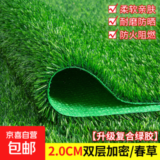 Simulated lawn carpet artificial artificial turf green outdoor decoration fake grass plastic mat balcony kindergarten 2 cm double layer encrypted spring grass 2 meters wide 6 meters long artificial cutting