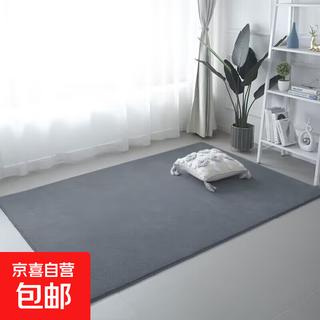 Carpet bedroom bedside thickened modern simple living room coffee table mat short pile high elastic children's blanket washable full floor dark gray (washable) 120*200cm