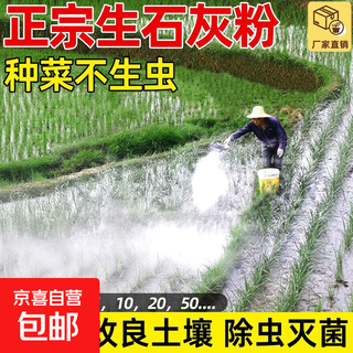 Insecticida en polvo de cal viva vegetal, desinfección, esterilización, repelente de insectos y a prueba de humedad, cepillado de árboles frutales, mejora del suelo, desecante antimoho, cal viva de alta calidad 10jin jin es igual a 0,5 kg