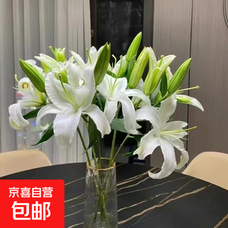 Base de flor de lirio cabello liso arreglo floral hidropónico para el hogar regalo del día de san valentín decoración del festival de primavera flor de nochevieja lirio blanco 55-60 cm 6 capullos (variedades aleatorias)