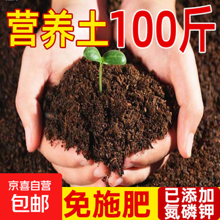 100 jin jin of nutrient soil is equal to 0.5 kg. general-purpose planting soil for growing vegetables and flowers. large package of household peat soil factory direct sales. 50 jin jin of high-quality organic nutrient soil is equal to 0.5 kg (with the addition of rooting powder carbendazim).
