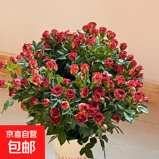 Yunnan flowers multi-headed rose bubbles yunnan flowers straight hair jingdong express chocolate bubbles 10 branches