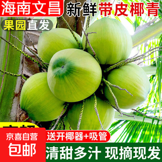 Hainan wenchang green coconut with skin single fruit 3 jin jin equals 0.5 kg + seasonal fresh coconut juice natural coconut water fresh fruit 4 pack hainan green coconut with skin | single fruit 3 jin jin equals 0.5 kg +