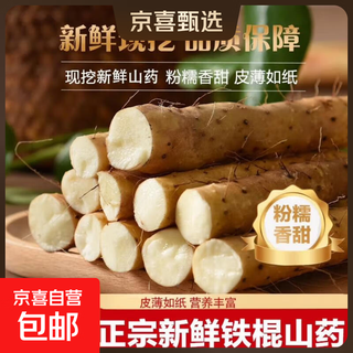 Jingxijia authentic wenxian sandy soil yam, fresh soft glutinous iron bar yam, premium gift box - new and old packaging shipped randomly, 5jin jin equals 0.5kg gift box