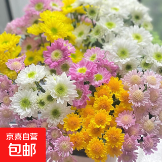 Небольшой букет цветов из ромашек, база Юньнань, Куньмин, прямая доставка, экспресс-лилия, внутригородские домашние свежесрезанные розы, выращенные в воде, случайный одиночный цвет, 5 маленьких ромашек