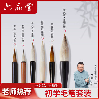 Liupintang calligraphy teacher recommended brush set, four treasures of the study, hu brush, calligraphy professional and brush pen, wolf brush and sheep brush, special for beginners, 6 high-quality packs