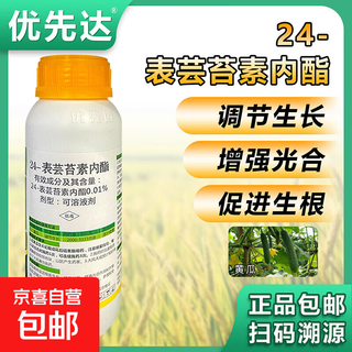 Priority dayaomanyuan 0.01% 24-epibrassinolide cucumber plant growth regulator to cultivate strong seedlings 500g 3 bottles