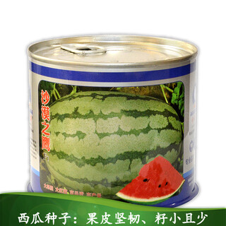 Zhongke maohua fruit seeds desert eagle watermelon seeds large fruit double red flesh jincheng no. 5 type planted in inner mongolia and xinjiang watermelon seeds 10g