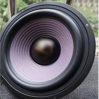 Chenpeng 6.5 inches 8 inches 10 inches 12 inches dual magnetic shock speaker subwoofer speaker 8 inches 120 magnets (outer diameter 21 cm)