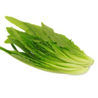 Jingxiansheng lettuce beijing 600g simple packaging fresh vegetables