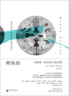 Street of crocodiles complete novels by bruno schulz