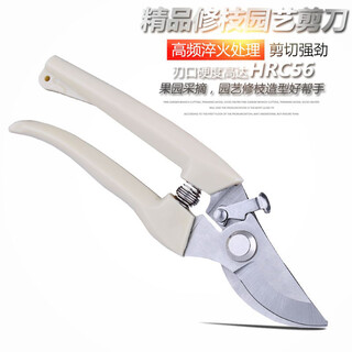 Elite pruning shears pruning branch scissors flower scissors gardening scissors floral scissors fruit tree gardening scissors white gardening scissors