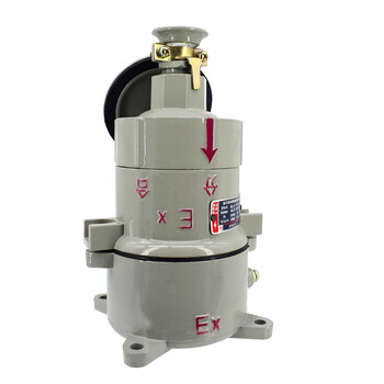 Explosion-proof plug bcx53-16a32a three-phase four-wire 380v220v aviation plug outdoor waterproof 16a 220v three-core straight plug