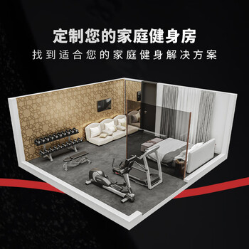 Lifefitness home gym company gym professional home fitness solution 25-35 square meters t5 button screen + e5 button screen + abdominal chair + g7