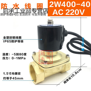 Waterproof solenoid valve 2w160-15/2w200-20/250-25/4/6 points/1 inch/dn15/ waterproof ip652w400-40ac220v