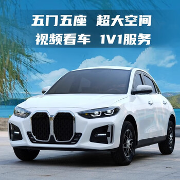 Jinliangpeng new energy vehicle electric four-wheel vehicle to pick up and drop off children, scooter for women, small gas-electric dual-use lithium battery for adults, a pair of license plates exclusive to users who have purchased the car