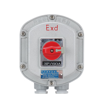 Explosion-proof circuit breaker 2p explosion-proof air switch bdz52-3p 10a-63a integrated explosion-proof switch air switch 40a 2p