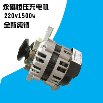 Rsrddy pulley type 220v800w permanent magnet constant voltage lighting small copper wire package household alternator 220v1500w pulley generator 066-1