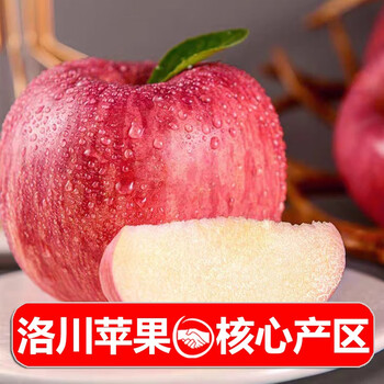 Zhu's orange products, luochuan red fuji apples, fresh apples, shaanxi plateau seasonal fresh fruit whole box fresh gift box, 5 jin large fruit (net weight approximately 4.5 jin)