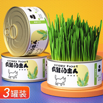 Crazy owner cat grass + 6 bags of wheat seed potted soilless hydroponic mint hair removal balls to help eliminate hair cat snacks for young cats