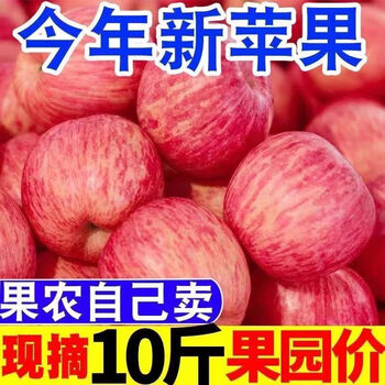 Shaanxi red fuji apple crispy sweet fresh fruit seasonal rock candy hearts whole box 8 catties 70mm-80mm