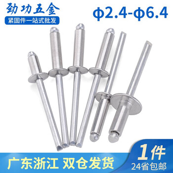 Jinggong 304 stainless steel core blind rivet pull rivet decorative rivet gb12618 2.4 3.2 4 5 6l 3.2*6 (100 pieces) semi-steel