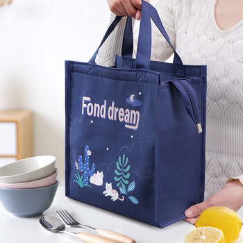 Banzheni lunch box bag lunch bag student lunch bag fresh-keeping lunch bag multi-functional portable with aluminum film layer to keep cold and warm medium size cat