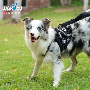 Wakytu tactical dog harness outdoor medium and large dog leash vest type pet walking leash set xl code - suitable for pets within 50-80 catties